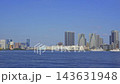從彩虹橋下眺望城市景觀 143631948