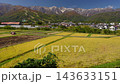 秋季，金色的稻田和白馬山脈綿延在長野縣白馬村上空。 143633151