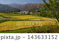 秋季，金色的稻田和白馬山脈綿延在長野縣白馬村上空。 143633152