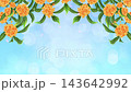 Osmanthus flowers and a blue sky: Autumn background animation video 143642992
