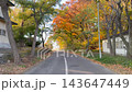 秋の紅葉した木々が道路を覆う並木道を歩く風景 143647449