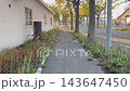秋の街路樹が並ぶ建物沿いの雑草が生い茂る歩道を歩く風景 143647450