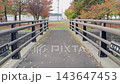 秋の紅葉と落ち葉が広がる緑地に向かって小さな橋を歩いて渡る風景 143647453