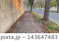秋の夕方、紅葉した街路樹と落ち葉が散るコンクリート壁沿いの歩道を歩く風景 143647483