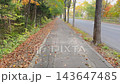 秋の落ち葉が散る街路樹と林に囲まれた舗装された歩道を歩く風景 143647485