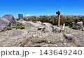 伊豆半島伊豆山脊步道 - 達摩山頂 143649240