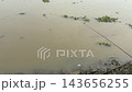 Fishing Rod Over Muddy River Water with Floating Plants 143656255