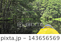 Glide down a peaceful river surrounded by vibrant green trees. The sunlight filters through the leaves, creating a tranquil atmosphere as the kayak moves gracefully along the water. 143656569