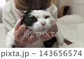 A playful cat is shown receiving loving pats and gentle squeezes from its owner. The cozy setting features soft lighting and a fluffy white rug, highlighting the bond they share. 143656574