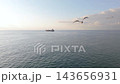 Aerial View of Seagulls Flying Over the Black Sea in Batumi, Georgia 143656931