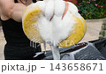 Thick soap foam spreads across a black car surface during hand washing, highlighting professional vehicle detailing, automotive maintenance, cleanliness, protection, and careful exterior care 143658671