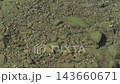 A river scene with small fish swimming. 143660671