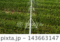 On a farm, a center pivot irrigation system distributes water to lush rows of corn crops. The irrigation mechanism actively watering the growing plants in a rural setting. 143663147