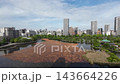 Aug 7 2026 Elevated view of lotus leaves on Shinobazu Pond with Bentendo Temple in Ueno Park, Tokyo, Japan 143664226