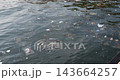 Aug 7 2026  Plastic debris, bottles, and environmental waste washed up on sea beach shoreline, marine pollution 143664257