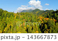 Aerial view of colourful forest on mountain slopes and cloudy sky. Canada 143667873