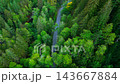 Top down view of car driving along the road among the autumn forest 143667884