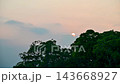 Sunset behind green trees in Yilan, Taiwan 143668927