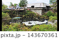 Scenic Creek Street Stream in Ketchikan Alaska 4K 143670361