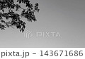 生活 143671686