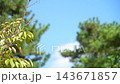 秋日的天空和風 143671857