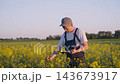 Expert agronomist farmer inspecting rapeseed plants and recording yield data in flowering field at sunset for crop planning and agricultural assessment with focused notebook work and rural atmosphere 143673917