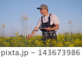 Expert agronomist farmer man inspecting rapeseed plants and recording yield data in sunny field, standing among yellow blossoms, focused on crop assessment and planning. Growing rapeseed. 143673986