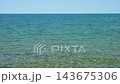 the sea under a clear blue sky 143675306