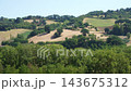 hills of the Marche Apennines. 143675312