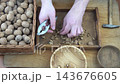 Male hands clean nuts with a nut cracker. Close-up. Walnut in shell top view. 143676605