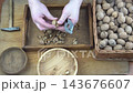 Male hands clean nuts with a nut cracker. Close-up. Walnut in shell top view. 143676607