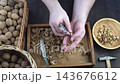 Male hands clean nuts with a nut cracker. Close-up. Walnut in shell top view. 143676612