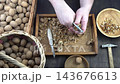 Male hands clean nuts with a nut cracker. Close-up. Walnut in shell top view. 143676613