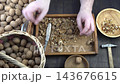 Male hands clean nuts with a nut cracker. Close-up. Walnut in shell top view. 143676615