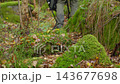 Person wearing outdoor pants and hiking shoes walks through autumn forest. Concept of hiking and outdoor recreation 143677698