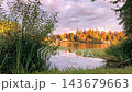 Timelapse, A picturesque lake framed by green bushes, reflecting a vibrant pink and orange sunset sky 143679663
