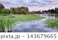 A serene lake filled with lily pads reflects the colorful sunset clouds and houses on the shore 143679665