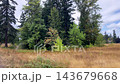 Water sprinklers spray a dry grassy field in front of a dense forest of tall evergreen trees. 143679668
