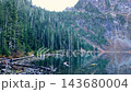 Calm alpine lake reflecting a steep rocky mountain and dense evergreen forest under a pale sky in Diablo Lake 143680004