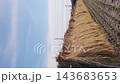 秋高氣爽的日子裡,田園風光寧靜祥和,稻米正在陽光下曬乾。 秋高氣爽的日子裡,田園風光寧靜祥和,稻米正在陽光下曬乾。 143683653