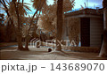 Infrared timelapse of a suburban house garden with palm trees and green vegetation showing changing light and moving clouds in a blue sky 143689070