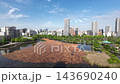 Aug 7 2026  Scenic view of Shinobazu Pond in Tokyo 143690240
