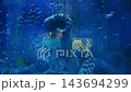 exotic tropical fish swim underwater at the coral reef in the aquarium in oceanarium 143694299