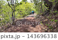 April 28 2026 Scenic pine covered Fukuurajima island in Matsushima 143696338