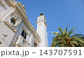 Upward perspective of ornate white clock tower and classical building facade beside tall palm tree against clear blue sky - sunlit architectural detail and tropical greenery 143707591