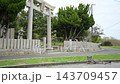 佐柳八幡神社の前でしっぽを振りながらくつろぐキジトラ猫 （香川県仲多度郡多度津町, 2026年4月） 143709457