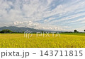 Car side window view of rice fields and village, Taiwan 143711815