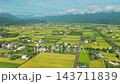 Aerial view of agriculture in rice fields and village, Taiwan. 143711839