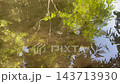Zen garden meditate spiritual landscape of green forest with calm, stock footage 143713930