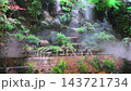 A large paludarium combines a terrarium and aquarium as a main indoor attraction. Mist cascades from above onto green plants and water filled with freshwater fish. 143721734